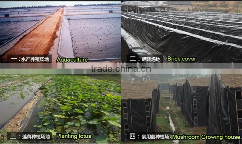 High quality HDPE plastic liner in ponds/koi pond/water pool
