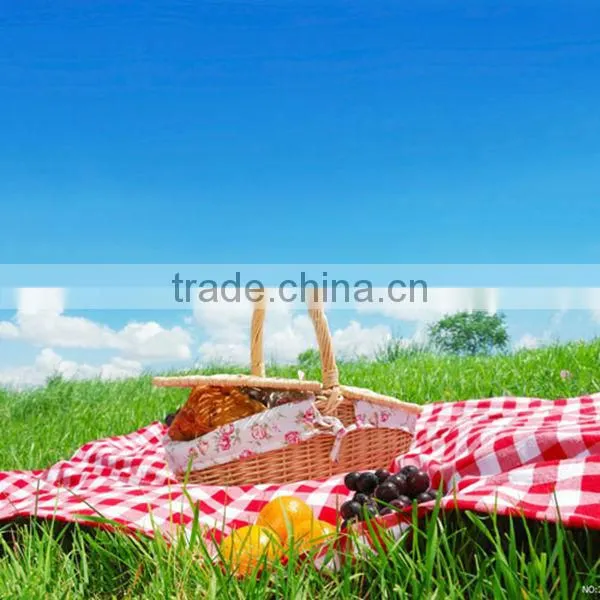 Linyi white willow basket with handle