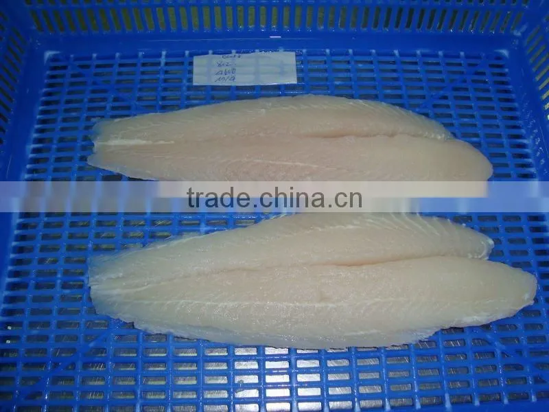 New Pangasius fish fillet ( Tra - basa)