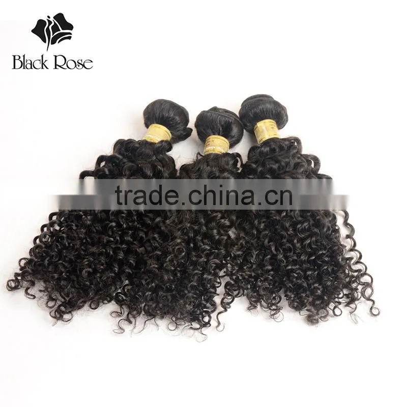 Free Samples Virgin Indian Hair,Raw Unprocessed Indian Human Hair Different Types of Curly Weave Hair