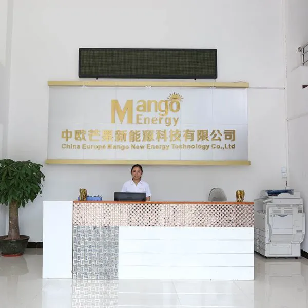 Guangzhou Mango Energy Technology Co., Ltd. company overview - view 1