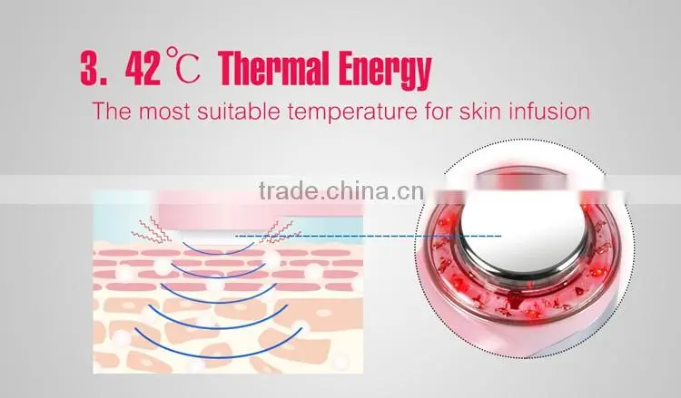 USB Rechargeable LED therapy Ionic Vibrating Facial Massager