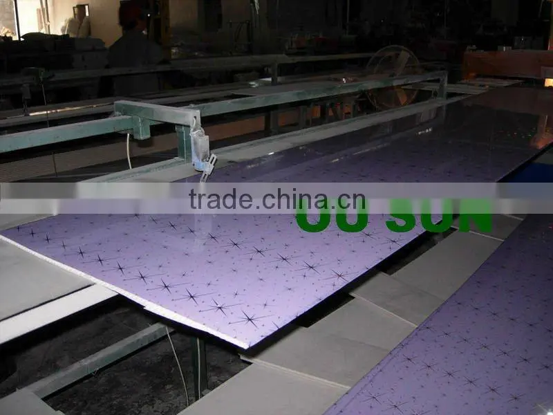 2012 Haining The Newest PVC Ceilng And Panel