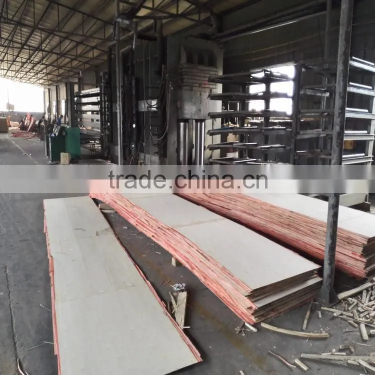 LVL plywood for packing poplar LVL Beam