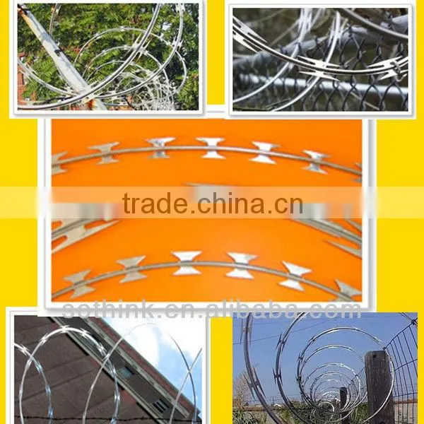 galvanized steel coiled barbed wire (high quality)