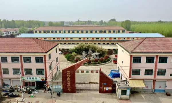Weifang Longshan Tyre Co., Ltd. company overview - view 1