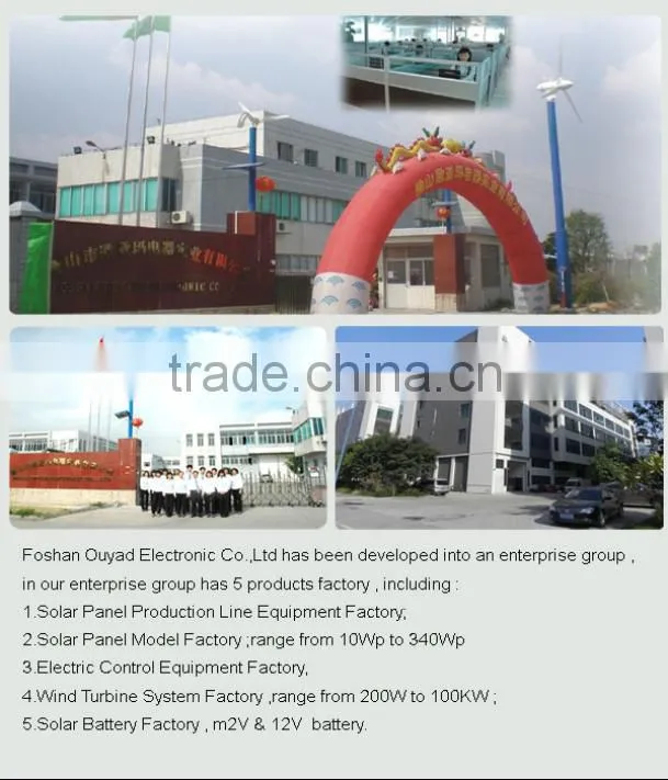 Pure Sine Wave 2000W Solar Inverter