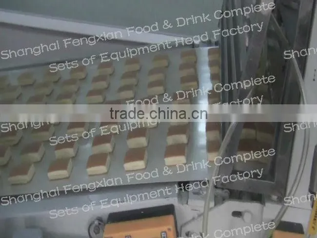 Full Automatic Layer Cake Product Line