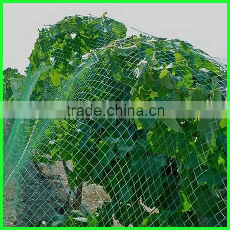 Clear anti bird hail cover net/uv resistance woven mesh net/reinforced hail guard net