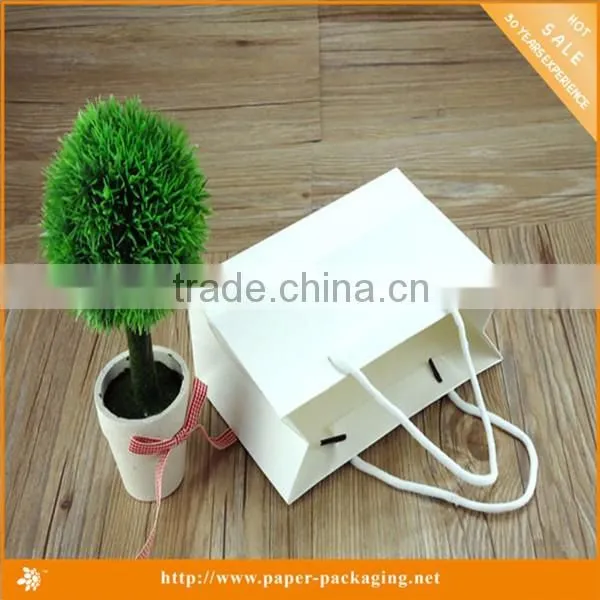 2015 Hot sale Printing paper bags with handles