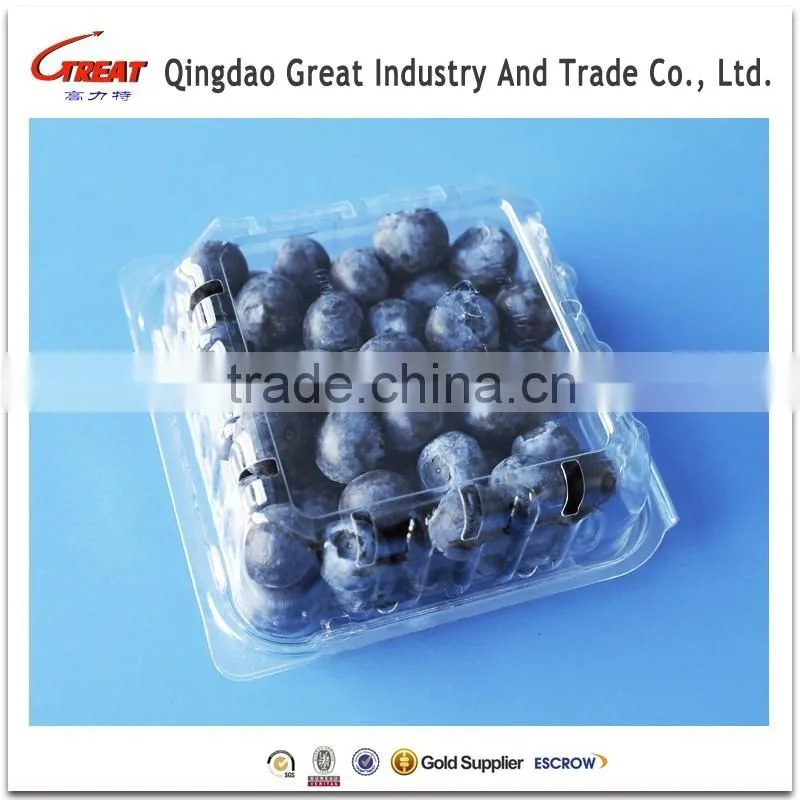 Fruit Packaging Container Food Storage Box Blueberry Packaging Punnet