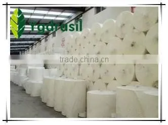 tissue paper parent roll