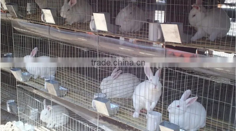 Cheap Low Carbon Steel Tiers Rabbit Cage For Female Rabbit / Breeding Rabbit / Industrial Rabbit