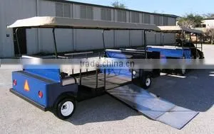 The environmental protection ADA Compliant Wheelchair Accessible ELECTRIC VEHICLES