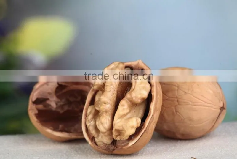 high quality xinjiang walnut thin shell walnuts