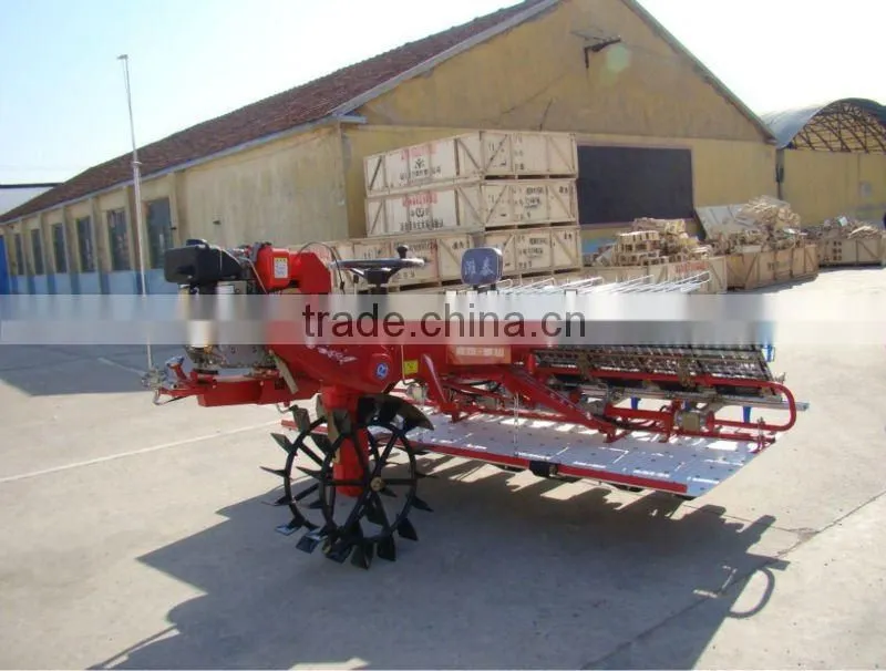 6 row 300mm rows distance Riding type Rice Transplanter Model 2Z-6300B