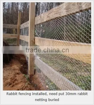 Hexagonal Wire Mesh (factory)