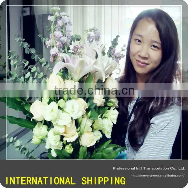 China Trading Storage Service Shunde Foshan China
