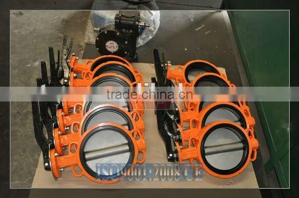 DN40-DN600 PN10/16 Pipe Butterfly Valve