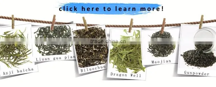 China Specialty Year Age Tea West Lake Dragon Well Green Tea