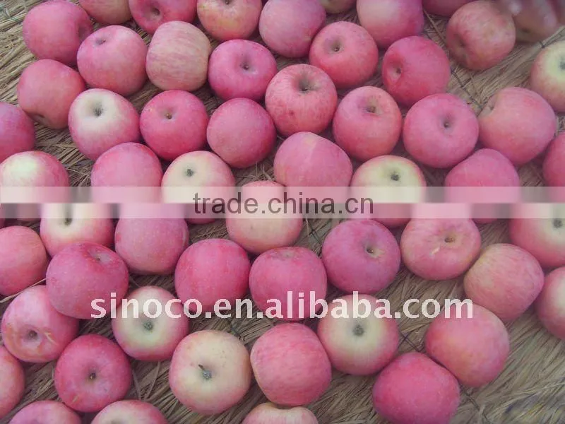 Delicious Fuji Apple