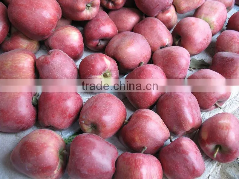 Fresh Huaniu Apples