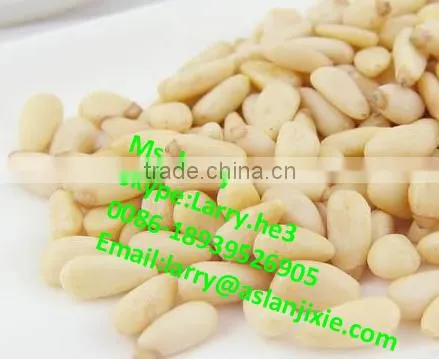 pine cone peeler machine/pine cone skin peeling machine/automatic pine cone peeler