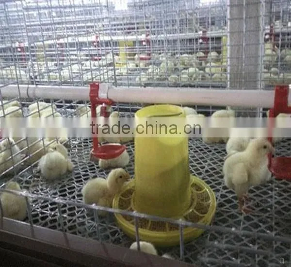 chiken egg poultry farm equipment/chicken cage for sale/automatic chicken layer cage