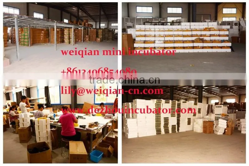 Poultry egg incubator,automatic egg incubator for sale in quail farming