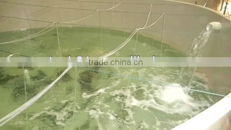10T-100T Fish SewageTreatment Bio Filter For Aquaculture