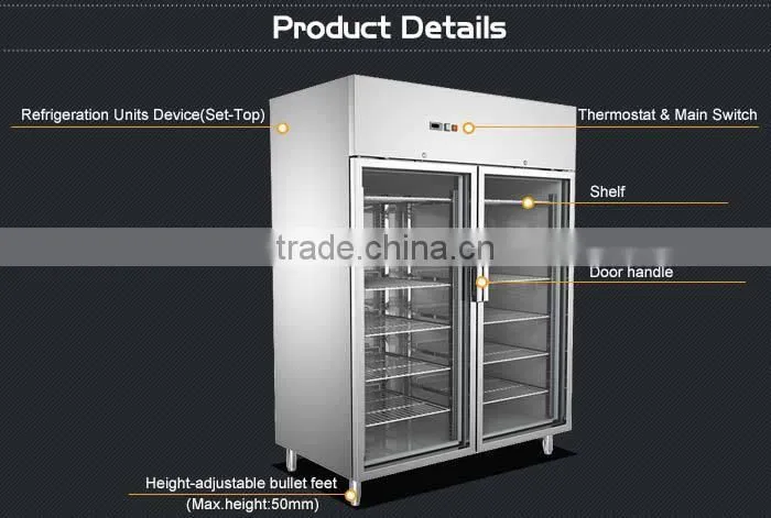Commercial Stainless Steel Upright Display Freezer/Frozen Food Display Freezer/Commercial Display Freezer