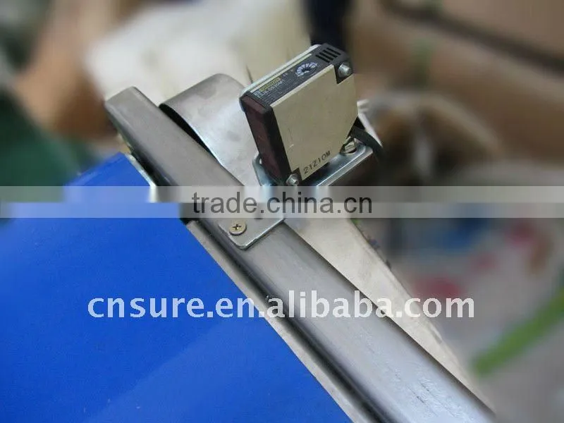 plastic belt conveyor system
