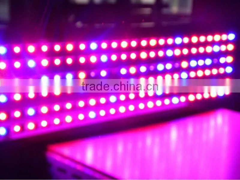 Full spectrum medical plant grow light 144x3W led grow lighting