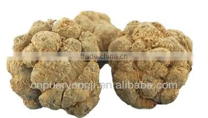 Factory Supply Dietary Supplyment 100% Natural panax Notoginseng P.E. / Wild Radix Notoginseng Extract