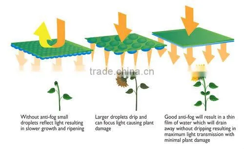 For protecting the plants China supplier Biodegradable Agriculture PP Protective Cover Film for protecting the plants
