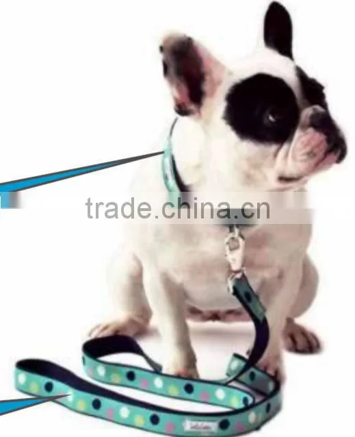 Pet Products Webbing Material
