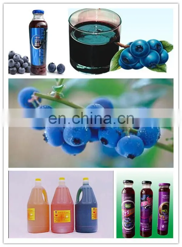High Quality Fruit Jam Production Line In Shanghai