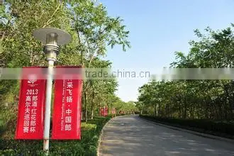 street lamp flag