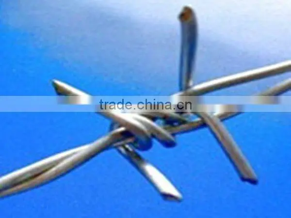 hot dip/ Electro galvanized barbed wire (manufacturer)