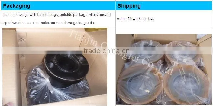 Putzmesiter DN200/DN230/DN250 concrete pump piston ram