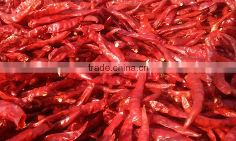 dry red chilli from guntur