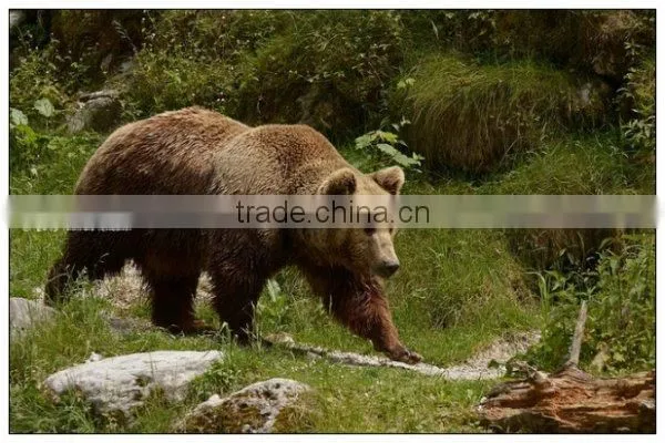 4 meters long animatronic robot realistic emulaiton brown bear