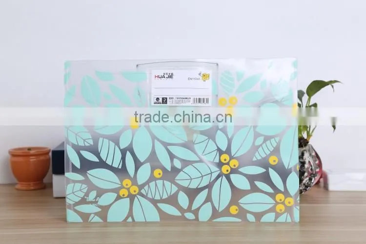 Transparent Document bag type and pp button wallet file