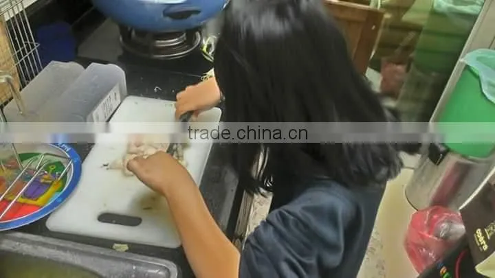 ecological pastic chopping cutting board