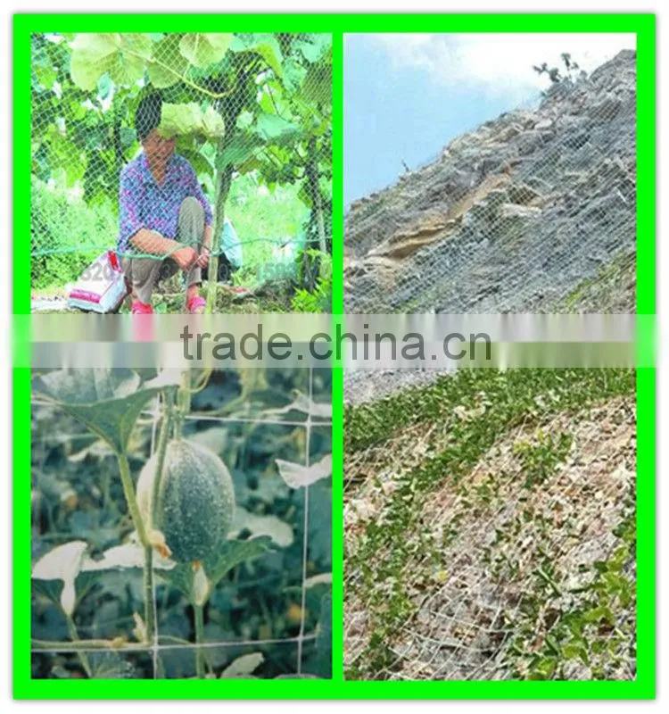 High quality plastic grape plant support net/plants protection net