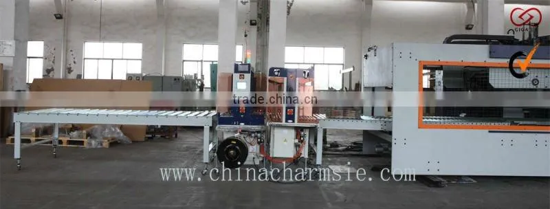 GIGA LX Automatic Packer for Carton Strapping Machine