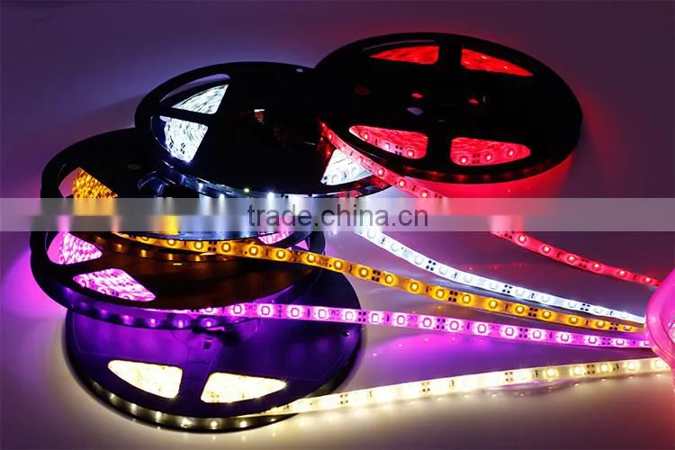 IP65 Latest Outdoor LED Decoration 1210 SMD Waterproof Flexible Tube Strip Lighting LED Strips Lights