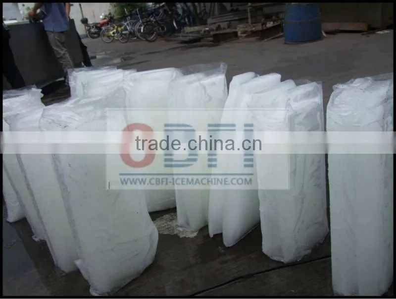 Bag Ice Maker