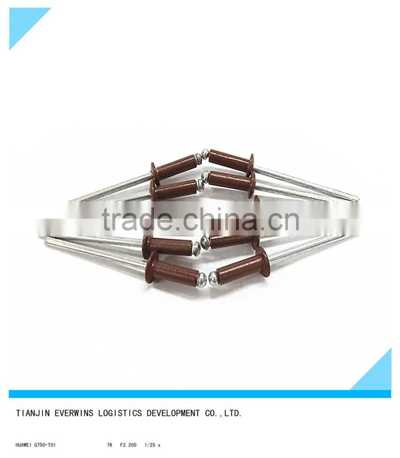 Brown color Rivet