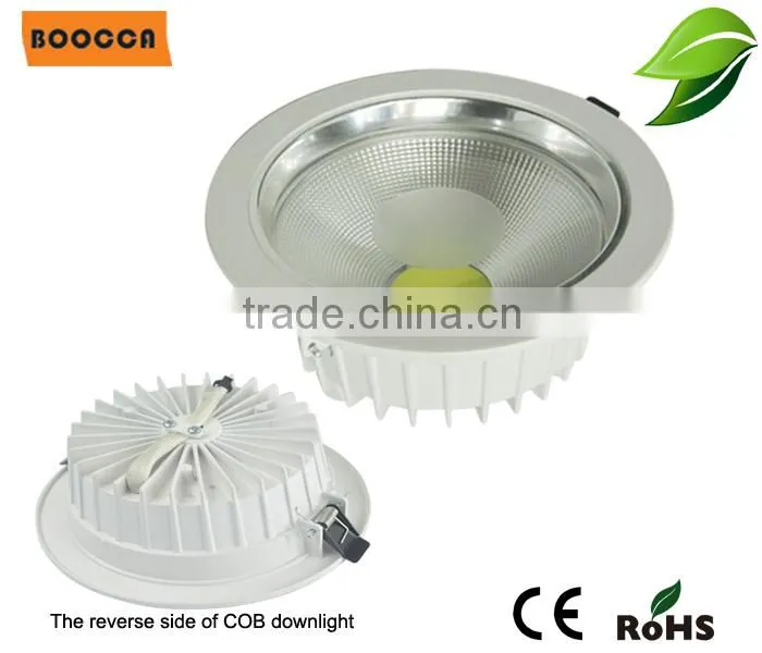 30W COB LED Down Light